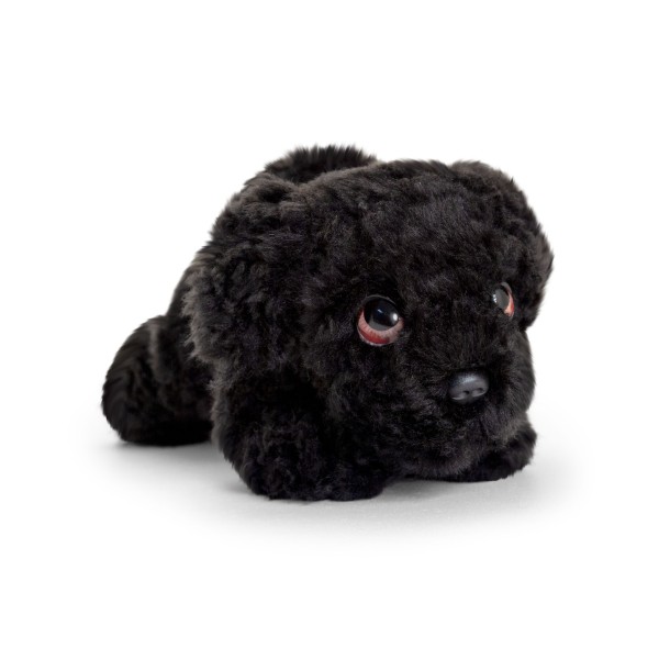 Keel Signature laying down Cockapoo puppy dog 25 cm Soft Toy