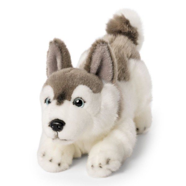 copy of Living Nature Husky Playful Pup Dog 23cm Soft Toy