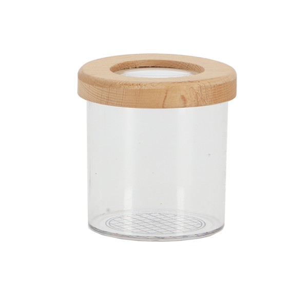 Magnifying Study Pot for Inspecting Insects