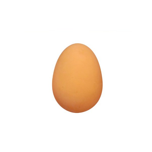 Realistic bouncy chicken egg ball